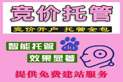 行业标杆：SEM推广代运营成功案例